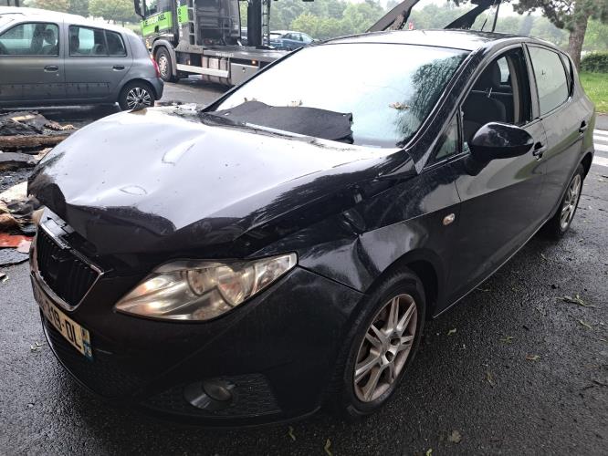 Image Porte arriere gauche - SEAT IBIZA 4