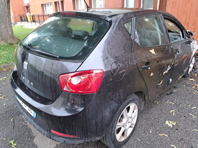 Image Porte arriere gauche - SEAT IBIZA 4