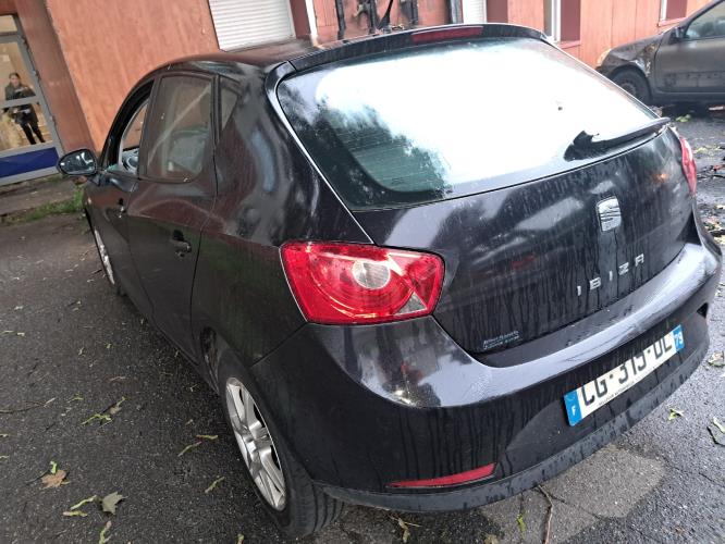 Image Porte arriere gauche - SEAT IBIZA 4