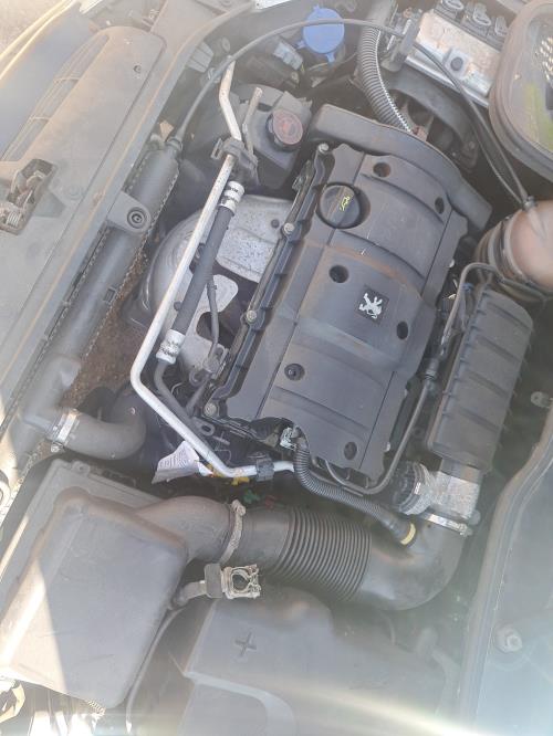 Image Feu arriere principal droit (feux) - PEUGEOT 206