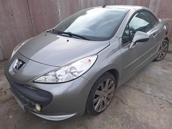 Image Porte avant droit - PEUGEOT 207