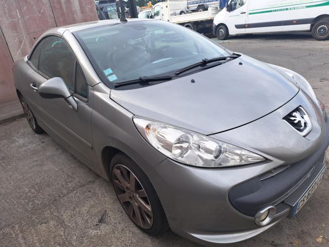 Image Porte avant droit - PEUGEOT 207