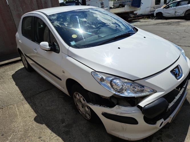 Image Feu arriere principal gauche (feux) - PEUGEOT 307