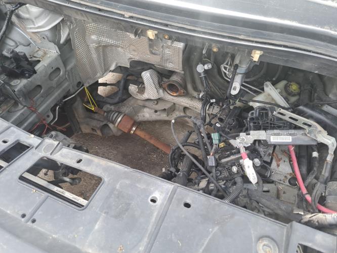Image Plage arriere - RENAULT SCENIC 3
