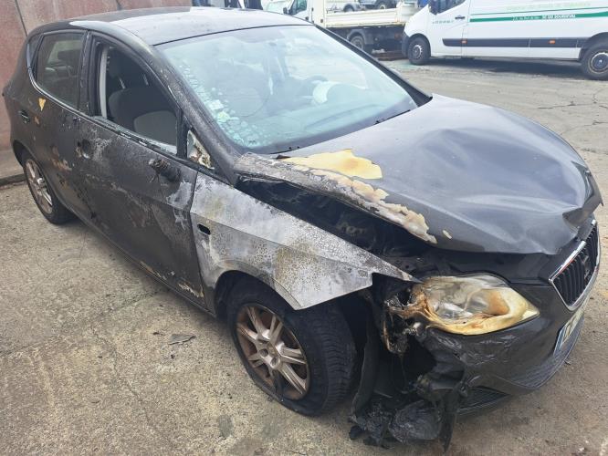 Image Porte arriere gauche - SEAT IBIZA 4