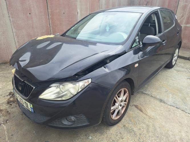 Image Porte arriere gauche - SEAT IBIZA 4