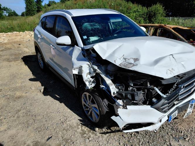 Image Porte arriere droit - HYUNDAI TUCSON 2