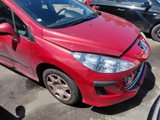 Image Porte avant gauche - PEUGEOT 308 1