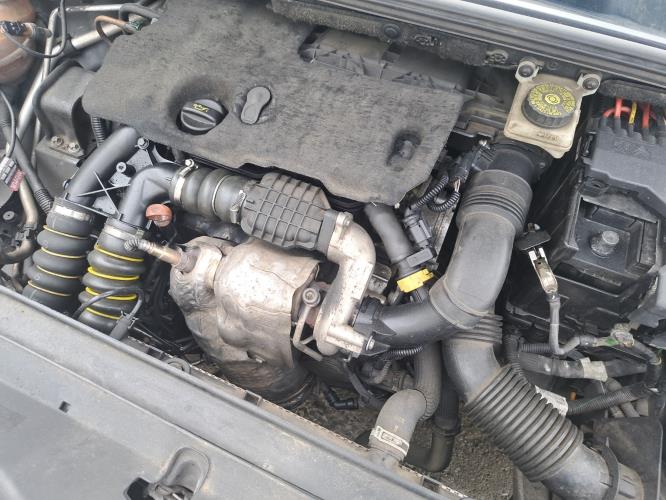 Image Malle/Hayon arriere - CITROEN C4 2