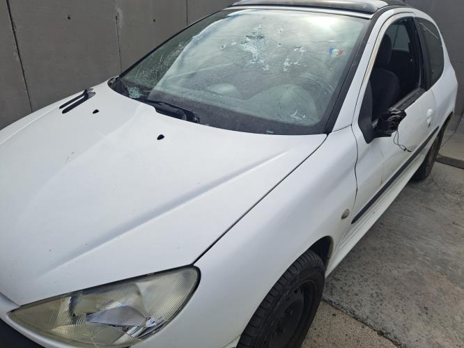 Image Pare boue avant droit - PEUGEOT 206