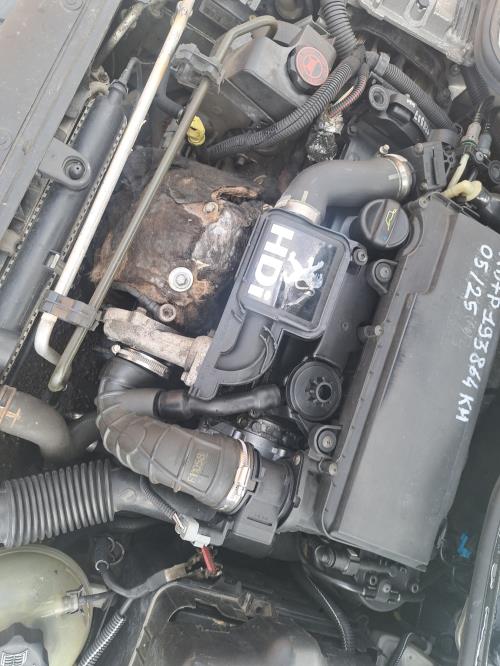 Image Feu arriere principal droit (feux) - PEUGEOT 206