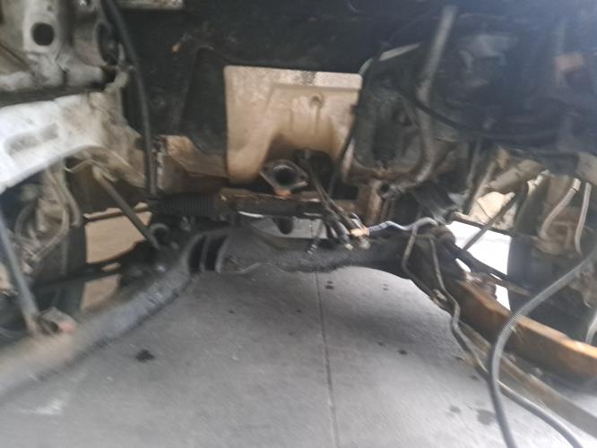 Image Porte de coffre gauche - PEUGEOT EXPERT 1