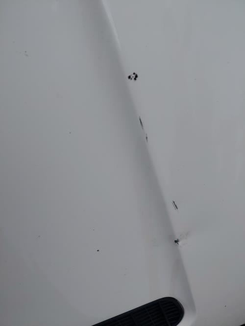 Foto de la pieza