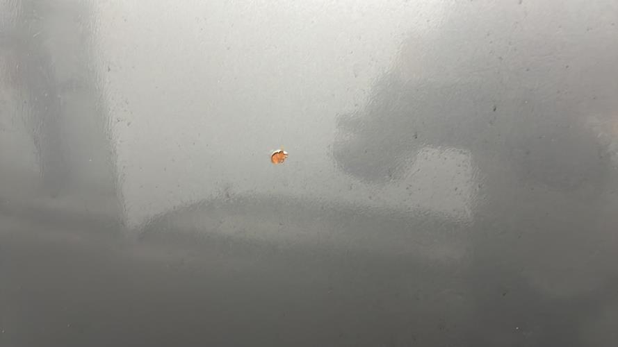 Foto de la pieza