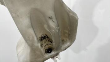 Foto del ricambio