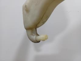 Foto del ricambio