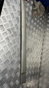 Baguette de porte arrière gauche, Renault Megane 2 · Phase 2