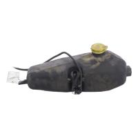 Vase de lave glace, Dacia Sandero 2 · Phase 1