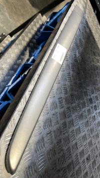 Baguette de porte arrière gauche, Renault Scenic 2 · Phase 1