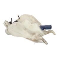 Vase de lave glace, Alfa Romeo 147 · Phase 1