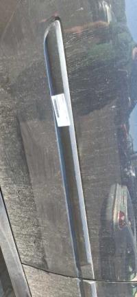 Baguette de porte arrière droite, Renault Laguna 3 · Phase 2