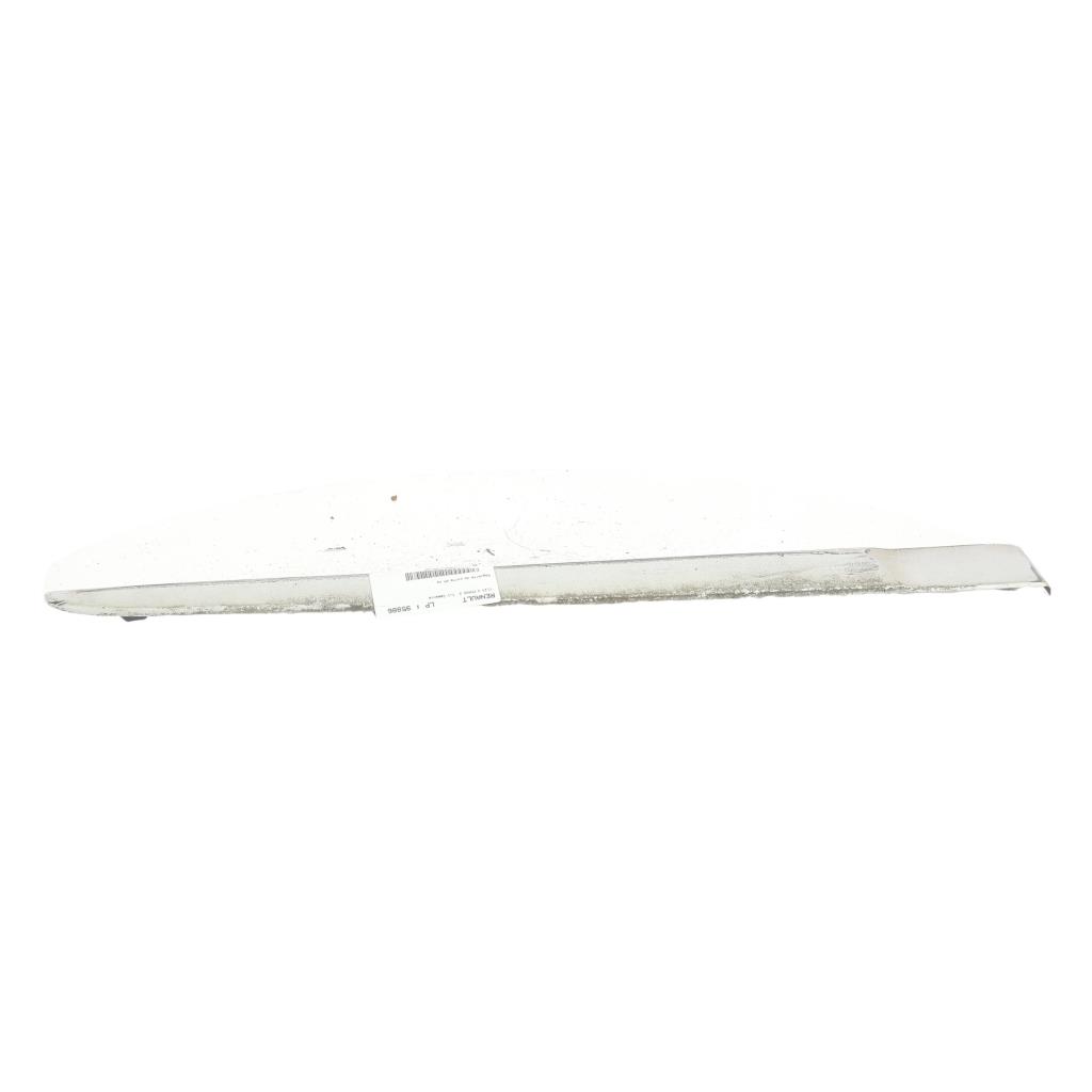 Baguette de porte arrière droite, Renault Clio 3 · Phase 2