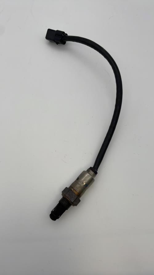 pièce détachée occasion Sonde lambda TRIUMPH
