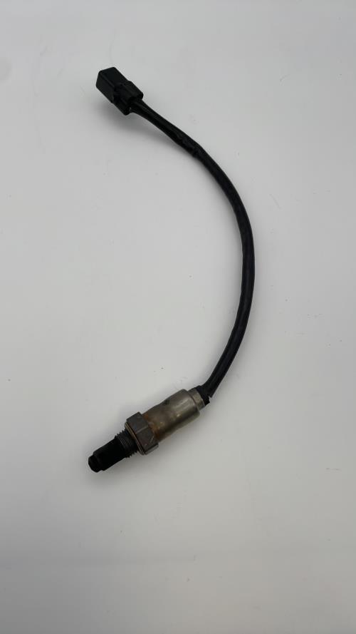 pièce détachée occasion Sonde lambda TRIUMPH