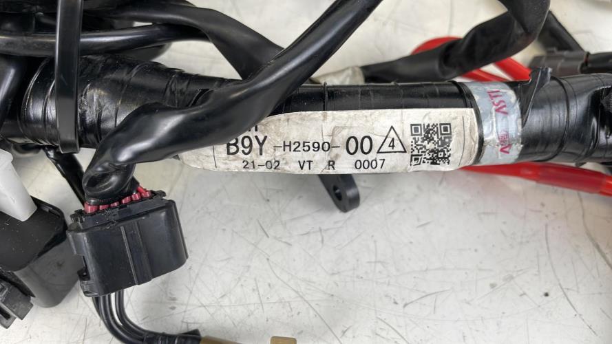 pièce détachée occasion Faisceau electrique
