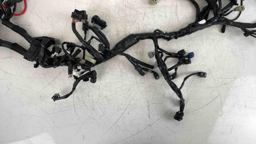 pièce détachée occasion Faisceau electrique YAMAHA