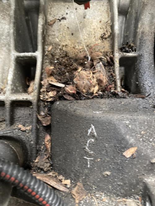 Foto de la pieza