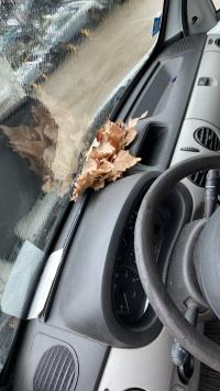 Foto ricambio auto