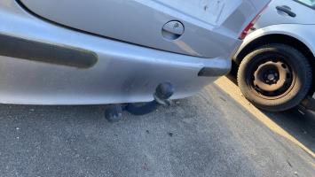 Foto ricambio auto