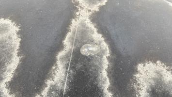 Foto de la pieza