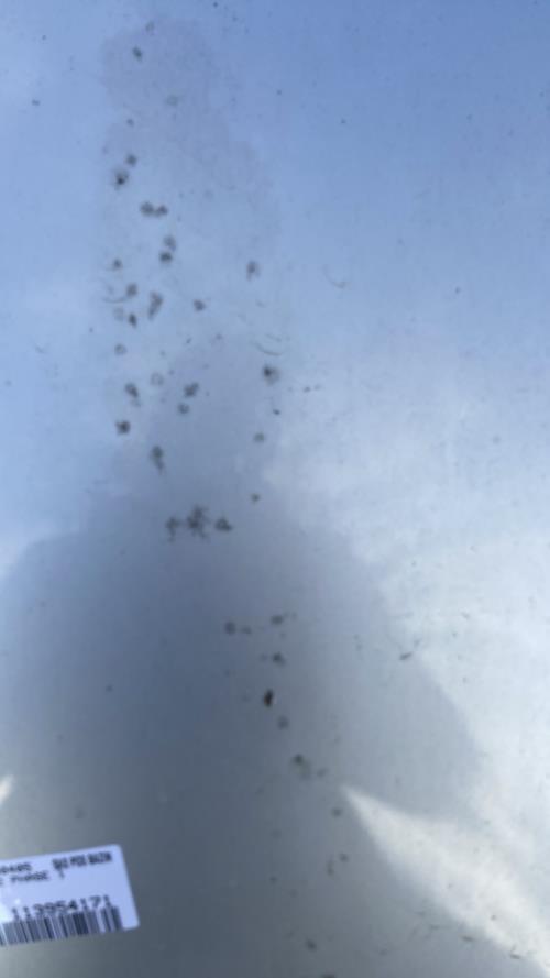 Foto de la pieza