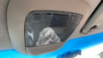 Foto ricambio auto
