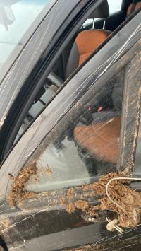 Foto pieza de coche