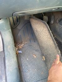 Foto ricambio auto