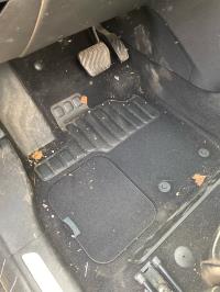 Foto pieza de coche