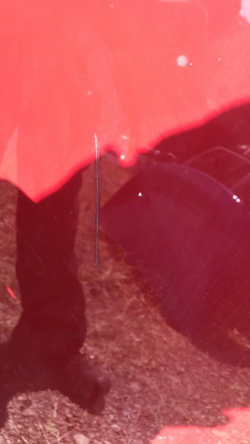 Foto de la pieza