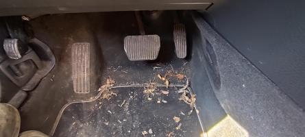 Foto ricambio auto