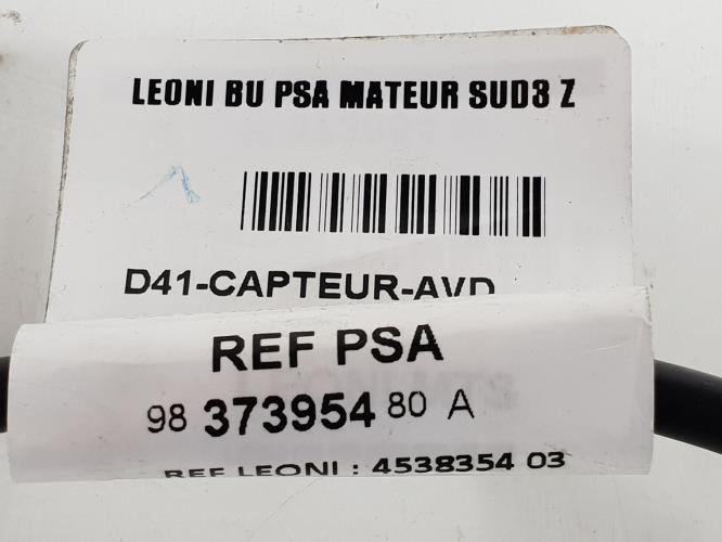 Foto de la pieza