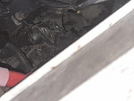 Foto pieza de coche