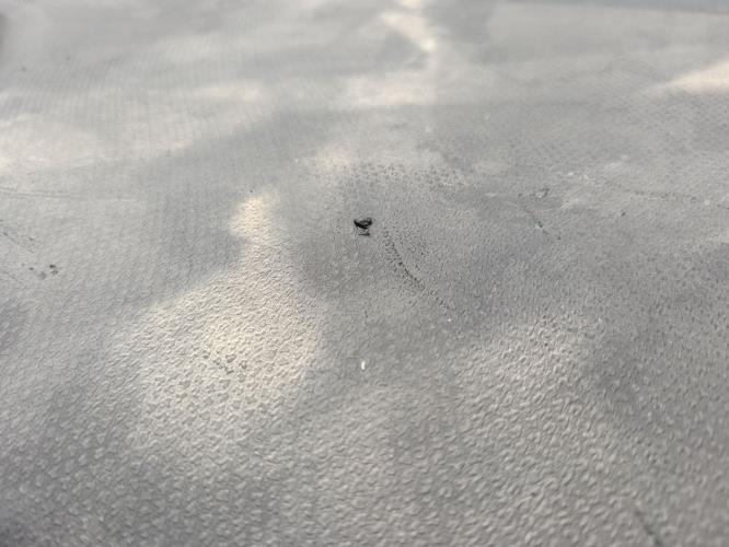 Foto de la pieza