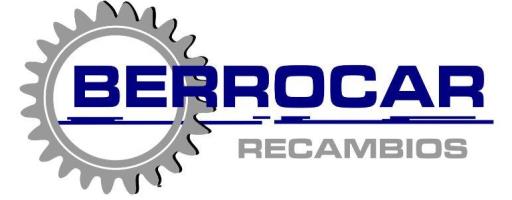 Logo BERROCAR SECOND LIFE