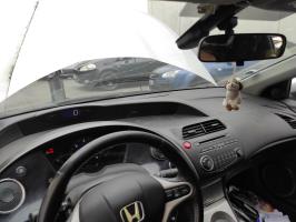 Foto pieza de coche