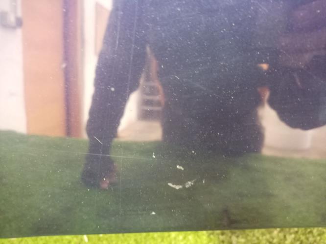 Foto de la pieza
