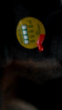 Foto de la pieza
