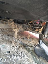 Foto ricambio auto