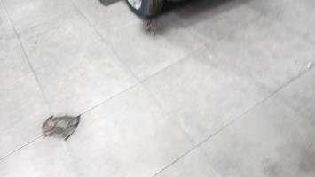 Foto de la pieza